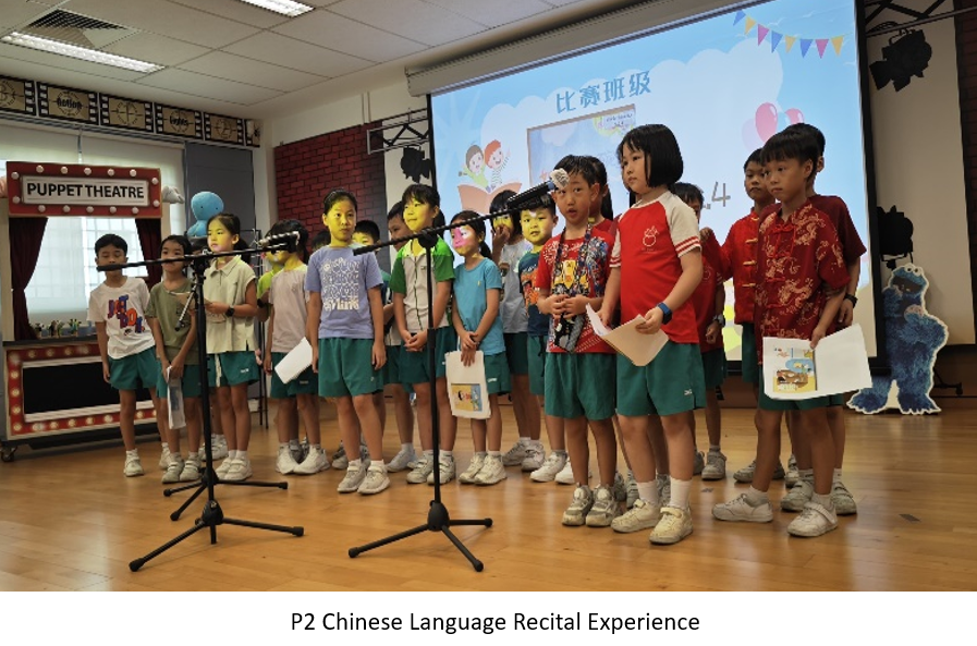 P2 chinese language racial experience.